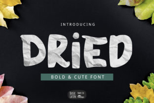 Dried: A Bold Display Font for High-Impact Campaign Visuals